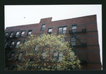 Block 258: Ridge Street between East Houston Street and Stanton Street (west side)