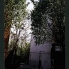 Block 259: Clinton Street between East Houston Street and Stanton Street (east side)