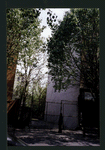 Block 259: Clinton Street between East Houston Street and Stanton Street (east side)