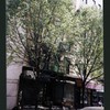 Block 259: Clinton Street between East Houston Street and Stanton Street (east side)