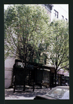 Block 259: Clinton Street between East Houston Street and Stanton Street (east side)
