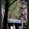 Block 259: Clinton Street between East Houston Street and Stanton Street (east side)