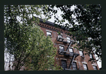 Block 259: Clinton Street between East Houston Street and Stanton Street (east side)