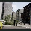 Block 259: Clinton Street between East Houston Street and Stanton Street (east side)