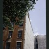 Block 259: Clinton Street between East Houston Street and Stanton Street (east side)