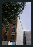 Block 259: Clinton Street between East Houston Street and Stanton Street (east side)