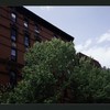 Block 260: Clinton Street between Stanton Street and East Houston Street (west side)