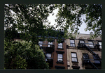 Block 260: Clinton Street between Stanton Street and East Houston Street (west side)