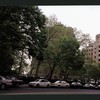 Block 265: East Broadway between Straus Square and Clinton Street (north side)