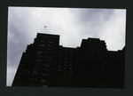 Block 265: East Broadway between Straus Square and Clinton Street (north side)