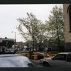 Block 266: Norfolk Street between Grand Street and Broome Street (east side)