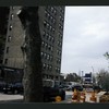Block 267: Norfolk Street between Grand Street and Broome Street (west side)
