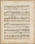 La tarentule as danced by Madlle. Fanny Elssler