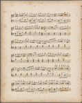 La tarentule as danced by Madlle. Fanny Elssler