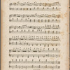 La tarentule as danced by Madlle. Fanny Elssler