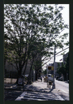 Block 274: Norfolk Street between Stanton Street and East Houston Street (east side)