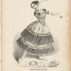 El jaleo de Jeres as danced by Madlle Fanny Elssler