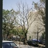 Block 274: Stanton Street between Suffolk Street and Norfolk Street (north side)