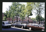 Block 275: Norfolk Street between East Houston Street and Stanton Street (west side)