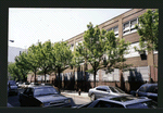 Block 275: Norfolk Street between East Houston Street and Stanton Street (west side)