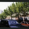 Block 275: Norfolk Street between East Houston Street and Stanton Street (west side)