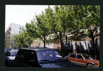 Block 275: Norfolk Street between East Houston Street and Stanton Street (west side)