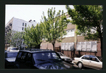 Block 275: Norfolk Street between East Houston Street and Stanton Street (west side)