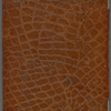 Notebook 2: ("M"). Diary, with entries from 1882 and 1883