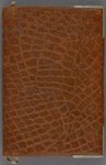Notebook 2: ("M"). Diary, with entries from 1882 and 1883