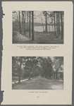 Walden Pond, Concord, the cairn marking the site of the hut where Henry David Thoreau lived while cultivating philosophy and beans.  A street view in Concord.