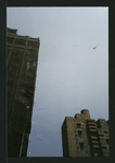 Block 280: Grand Street between Ludlow Street and Essex Street (north side)