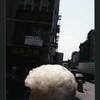 Block 282: Hester Street between Essex Street and Ludlow Street (south side)