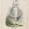 Fanny Elssler in the character of La sylphide