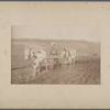 Tolstoi ploughing. 