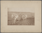 Tolstoi ploughing. 