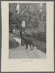 Count Tolstoy at home. 
