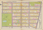 Plate 4