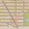 Plate 5