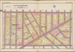 Plate 6