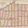 Plate 7