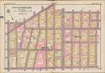 Plate 7