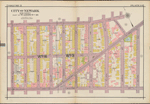 Plate 14