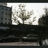 Block 291: Allen Street between East Houston Street and Stanton Street (east side)