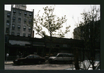 Block 291: Allen Street between East Houston Street and Stanton Street (east side)