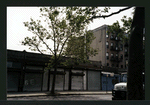 Block 291: Allen Street between East Houston Street and Stanton Street (east side)