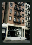 Block 291: Orchard Street between Stanton Street and East Houston Street (west side)