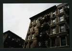 Block 292: Orchard Street between Stanton Street and Rivington Street (west side)