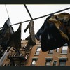 Block 293: Orchard Street between Rivington Street and Delancey Street (west side)