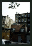 Block 293: Allen Street between Delancey Street and Rivington Street (east side)
