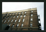 Block 295: Orchard Street between Broome Street and Grand Street (west side)